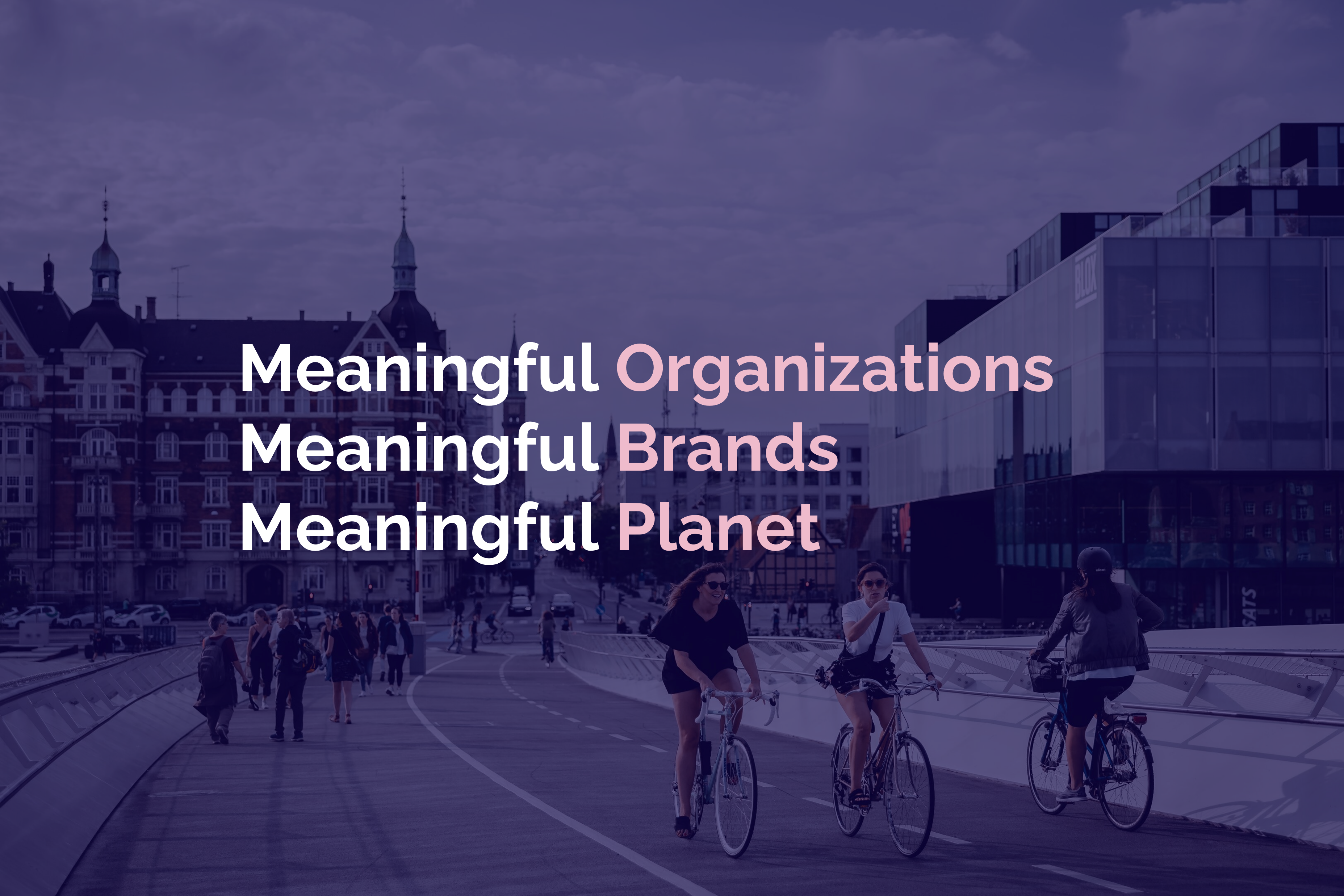 Organizations Brands Planet